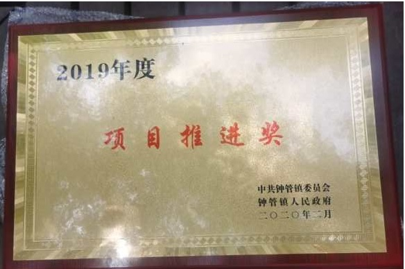 龙珠直播获得多项政府奖励